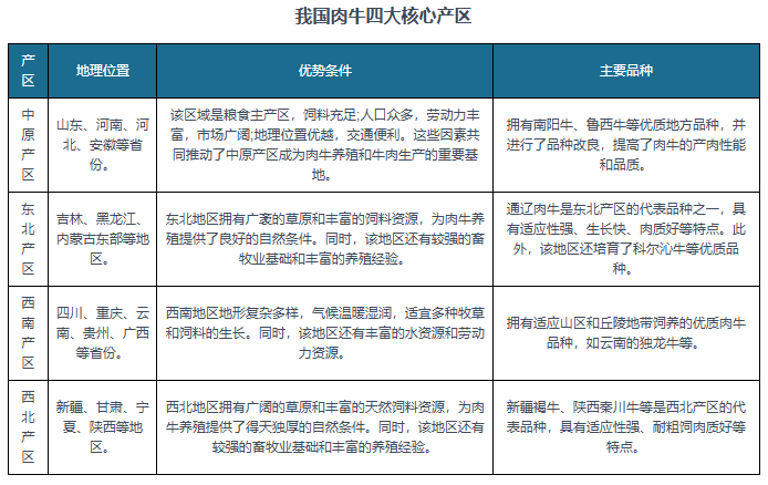 中国肉牛行业发展趋势分析与未来前景研究报告（|Z6尊龙官网2